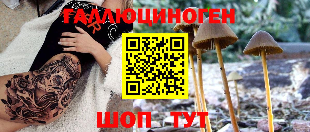 Псилоцибиновые грибы мухоморы  купить наркотики цена  Вход с VPN  Орехово-Зуево  Галлюциногенные грибы мухоморы 